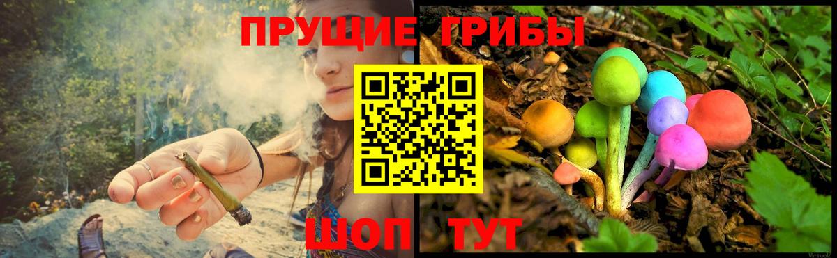 Псилоцибиновые грибы Magic Shrooms Долгопрудный