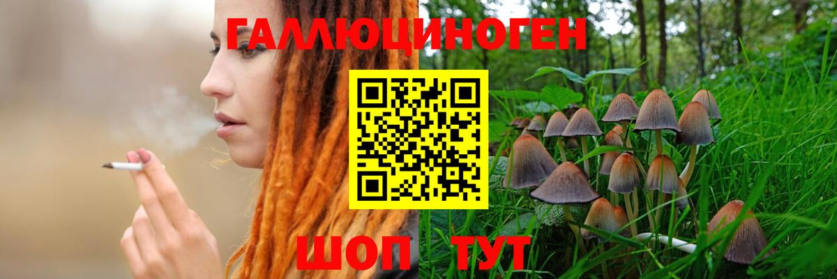 Долгопрудный  Псилоцибиновые грибы мицелий  Галлюциногенные грибы прущие грибы  Вход с VPN 
